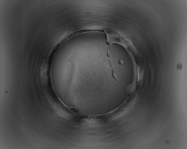 X0000102010300200807181234