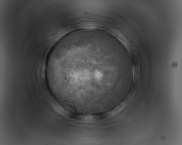 X0000102010301200807181234