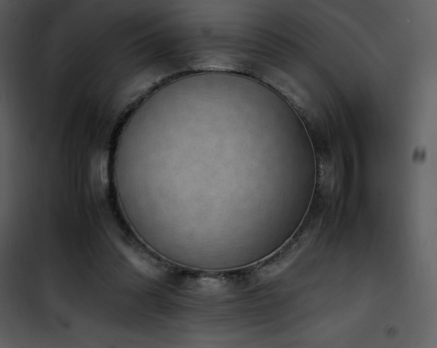 X0000102010302200807181234