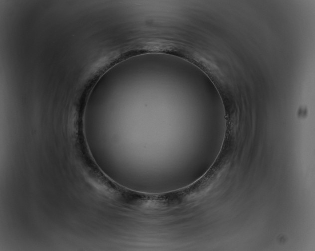 X0000102010303200807181234