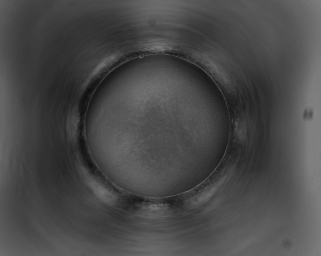 X0000102010304200807181234