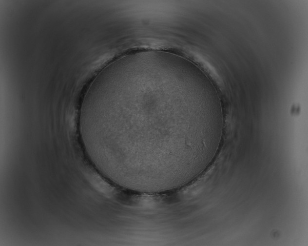 X0000102010305200807181234