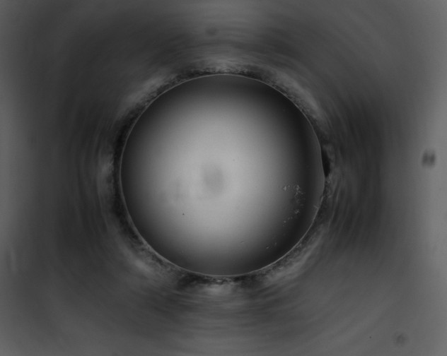 X0000102010306200807181234