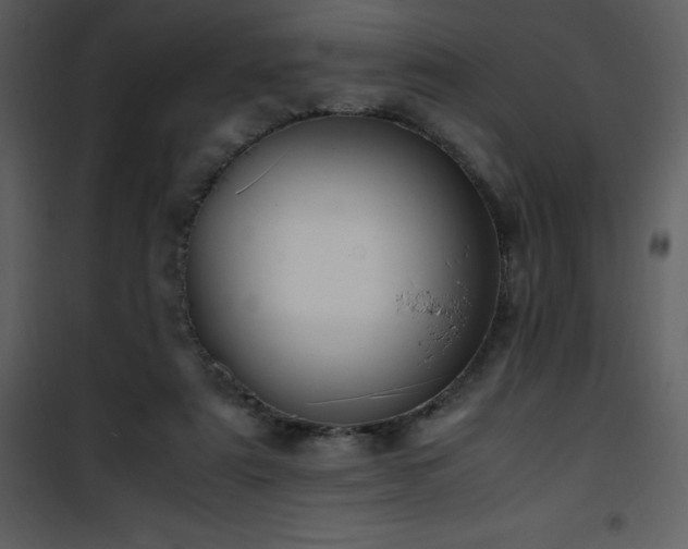 X0000102010307200807181234