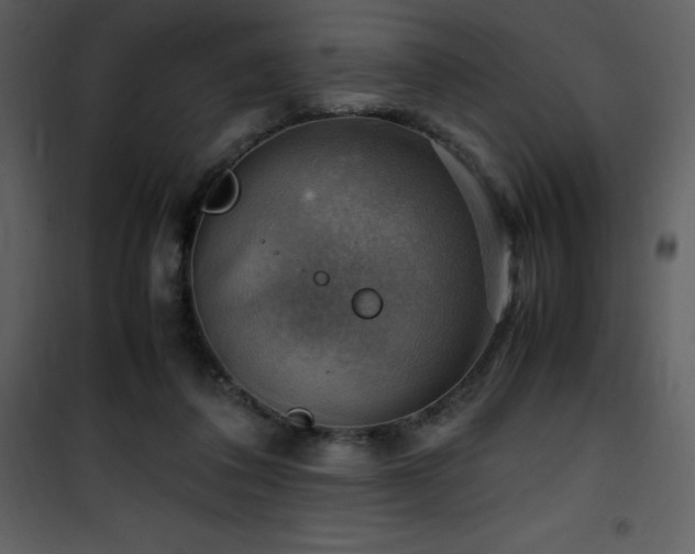 X0000102010308200807181234