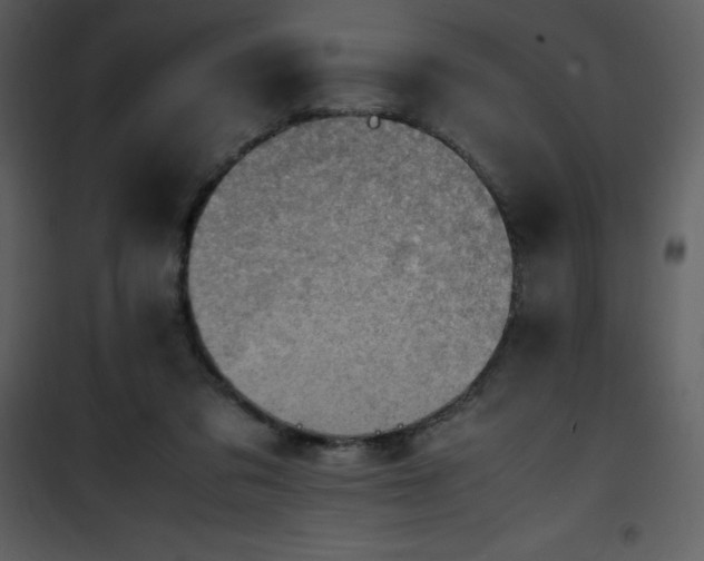 X0000102010309200807181234