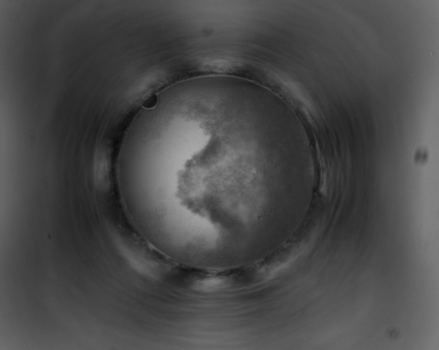 X0000102010312200807181234