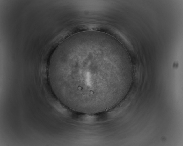 X0000102010313200807181234