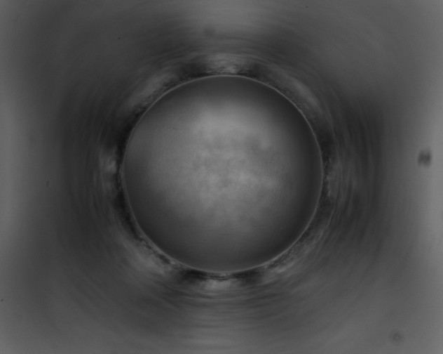 X0000102010314200807181234