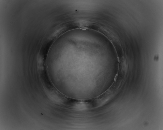 X0000102010316200807181234
