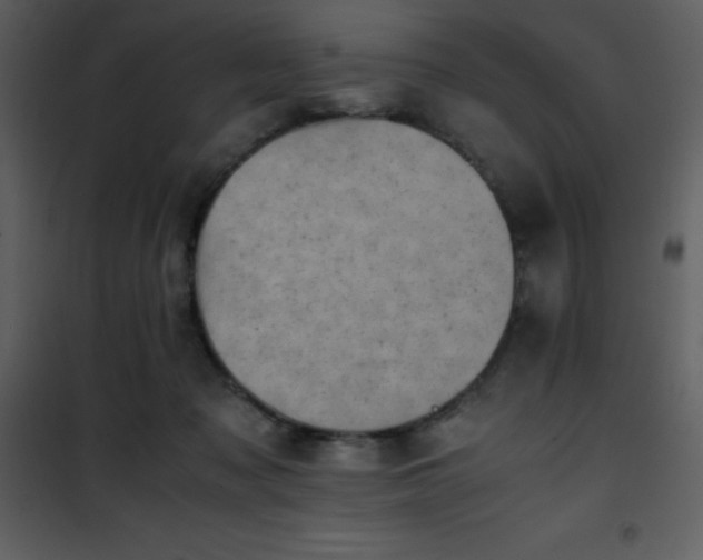 X0000102010317200807181234