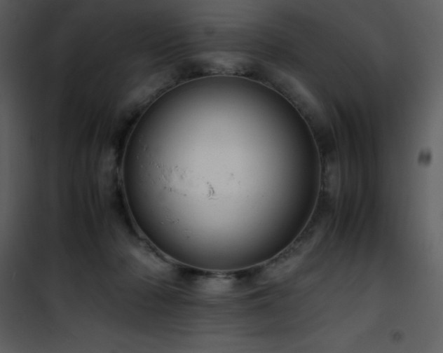 X0000102010318200807181234