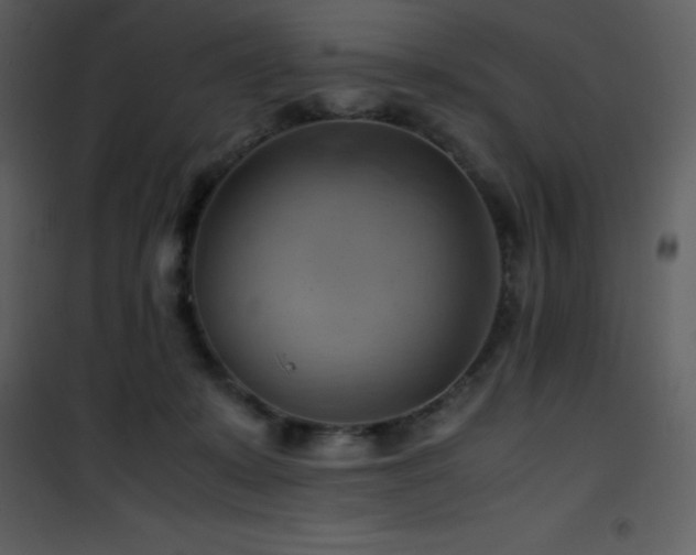 X0000102010319200807181234