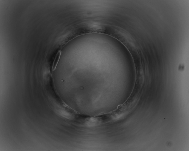 X0000102010320200807181234