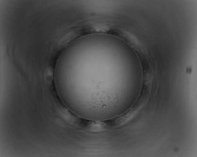 X0000102010321200807181234