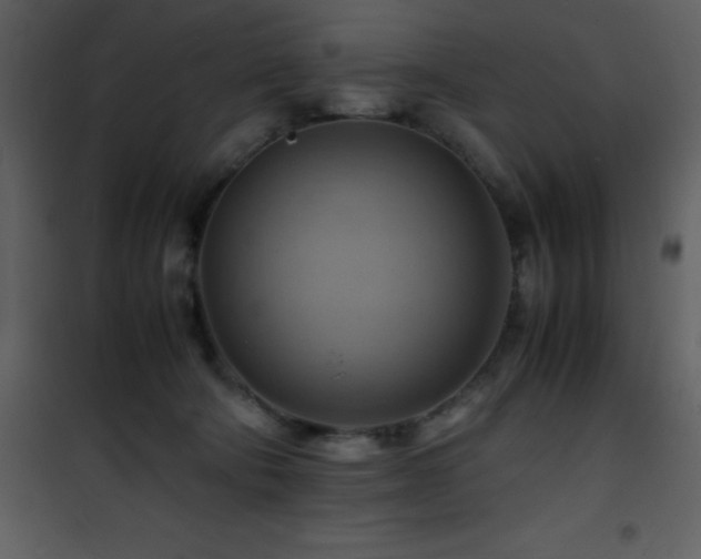 X0000102010322200807181234