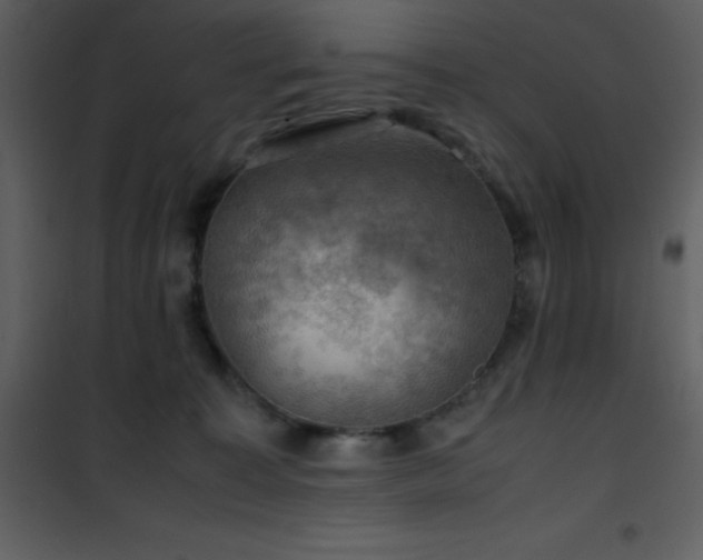 X0000102010323200807181234