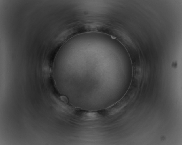 X0000102010324200807181234