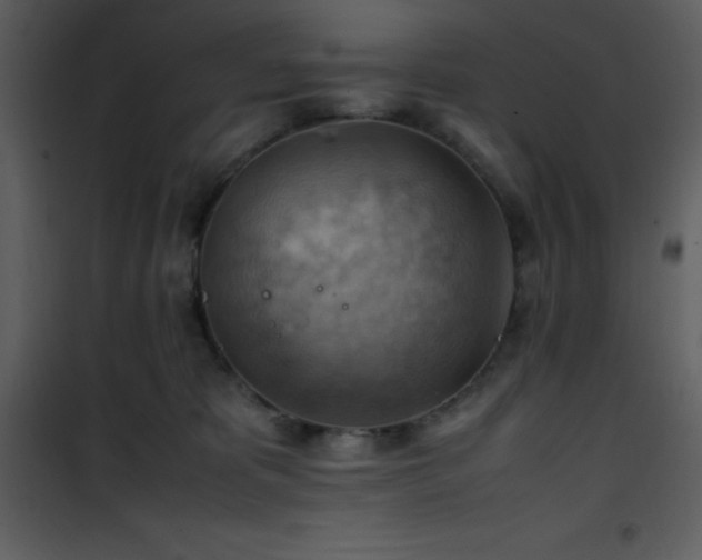 X0000102010325200807181234