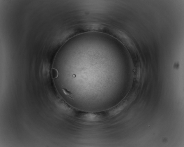 X0000102010326200807181234