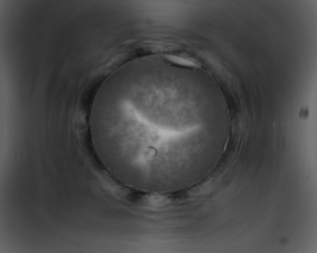X0000102010327200807181234
