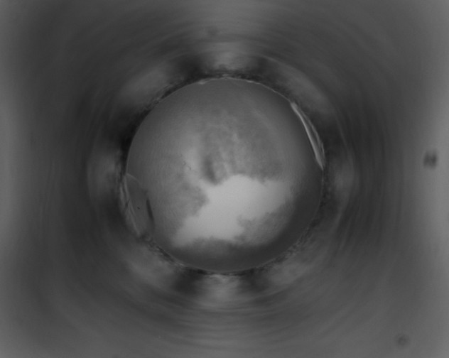 X0000102010328200807181234