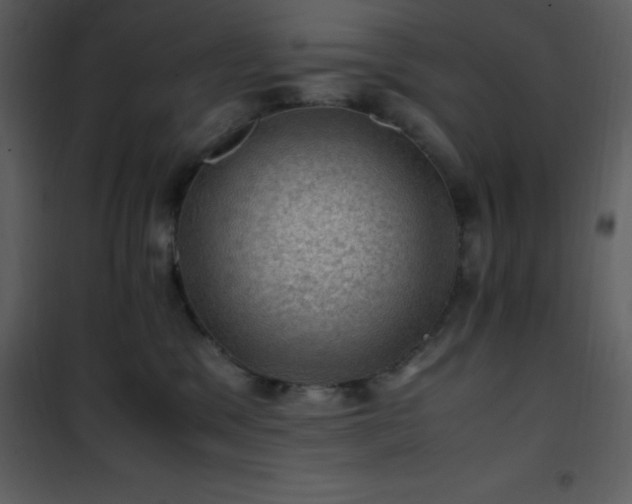 X0000102010329200807181234