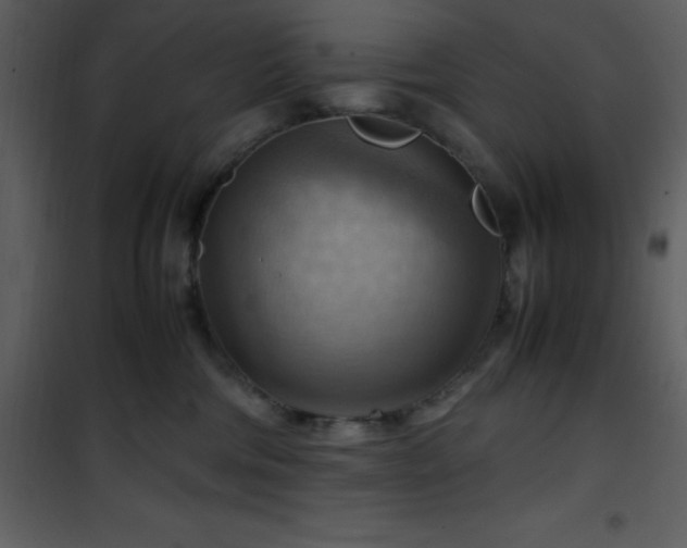 X0000102010330200807181234