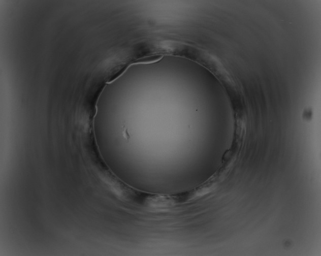 X0000102010331200807181234