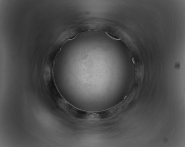 X0000102010333200807181234