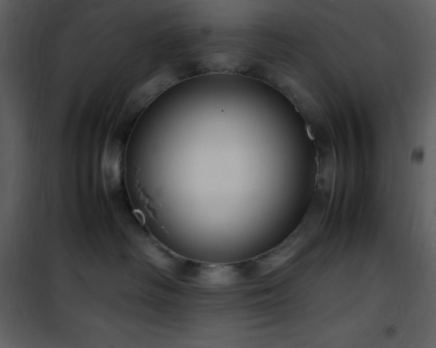 X0000102010334200807181234