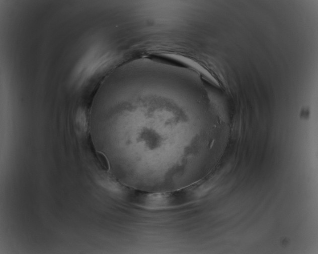 X0000102010335200807181234