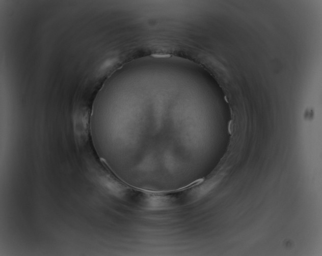 X0000102010336200807181234