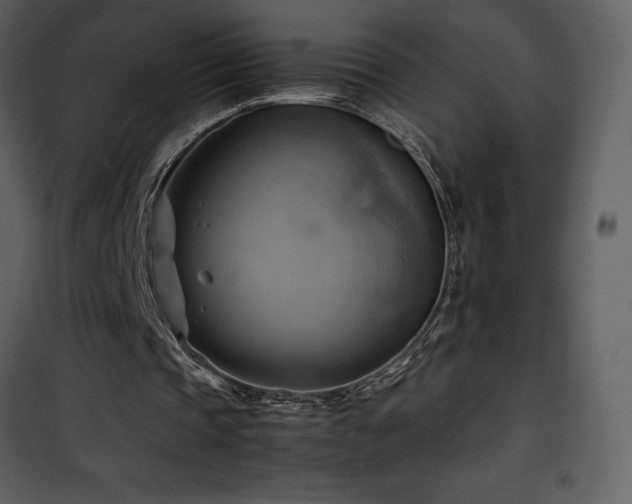 X0000102010337200807181233