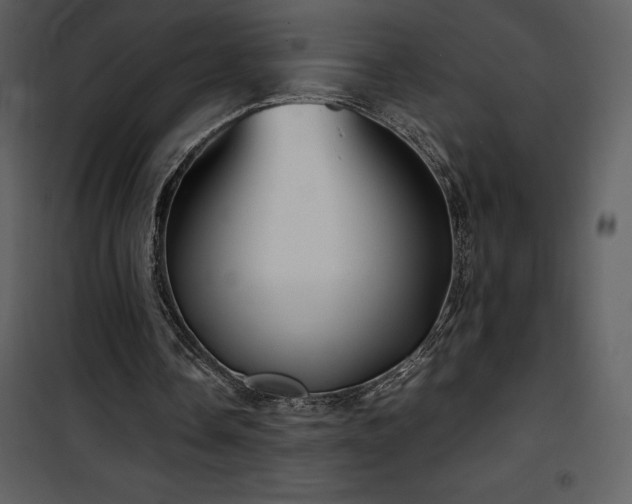 X0000102010338200807181233