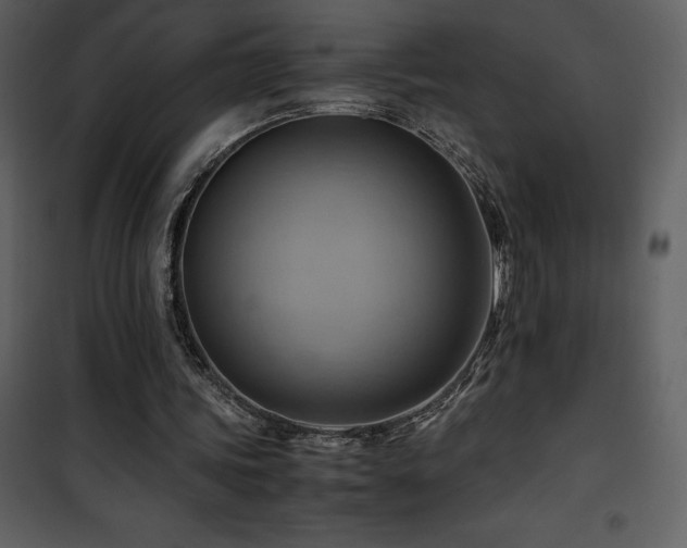 X0000102010339200807181233