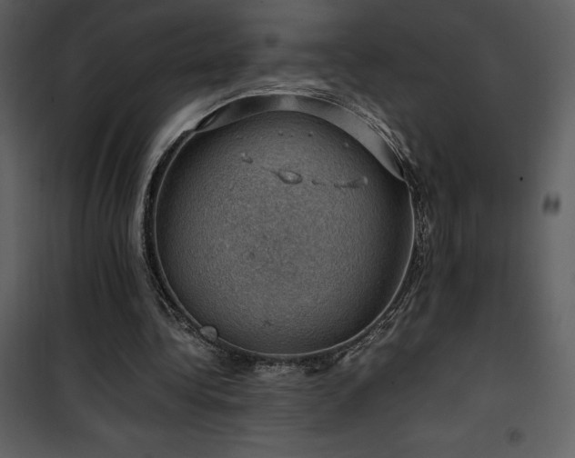 X0000102010340200807181233