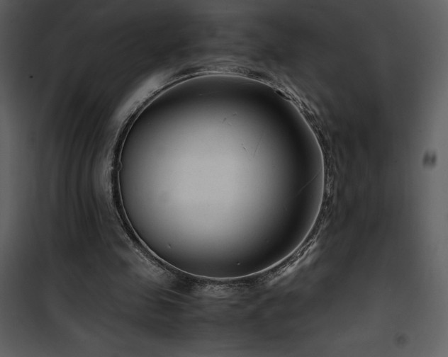 X0000102010341200807181233