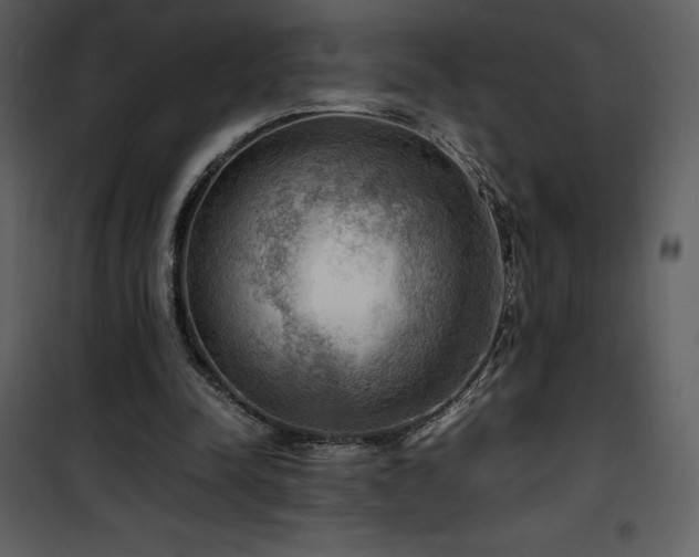 X0000102010342200807181233