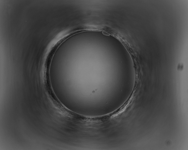 X0000102010343200807181233