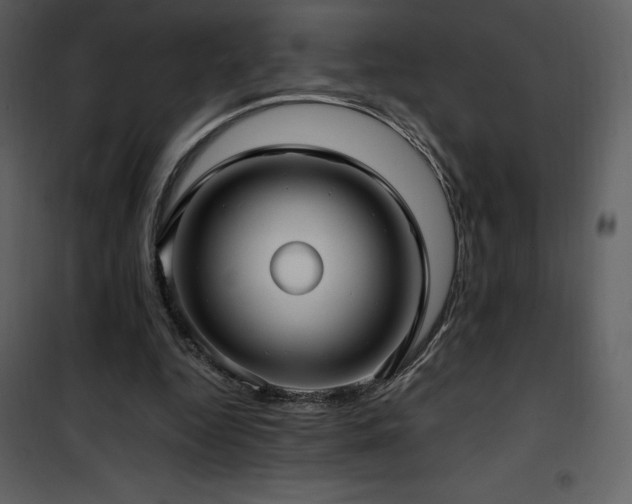 X0000102010344200807181233