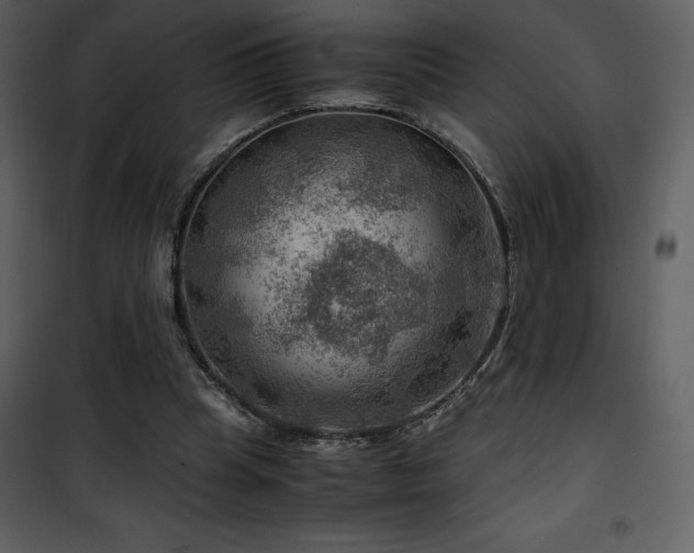 X0000102010345200807181233