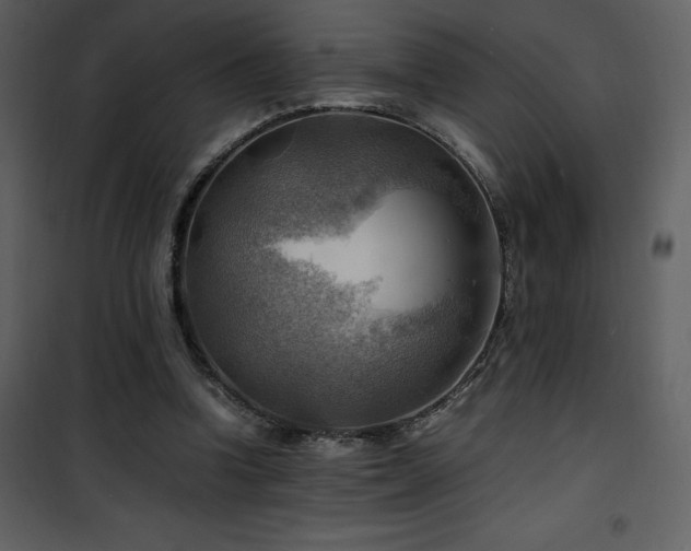 X0000102010346200807181233