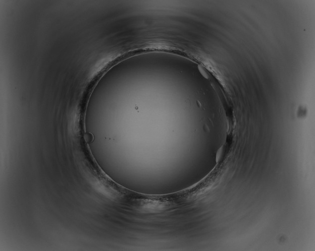 X0000102010347200807181233