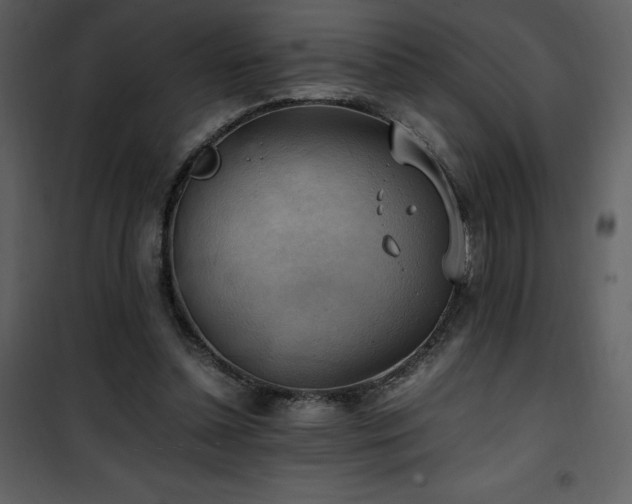 X0000102010348200807181233