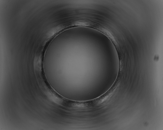 X0000102010349200807181233