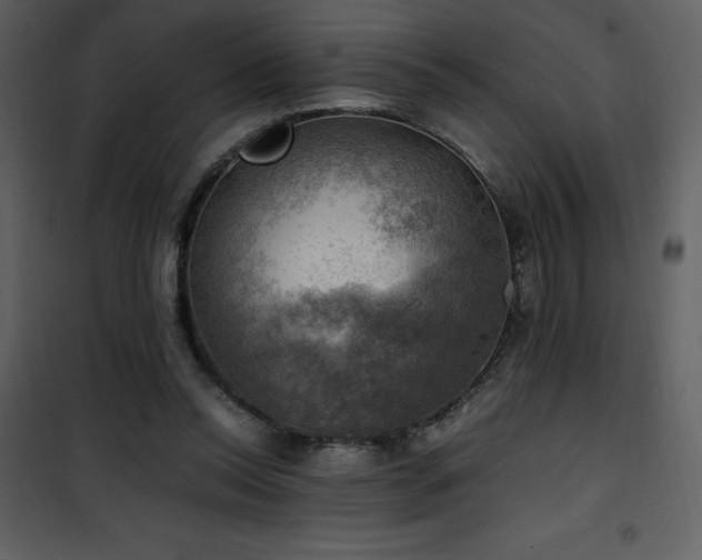 X0000102010350200807181233