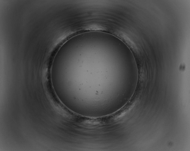 X0000102010351200807181233