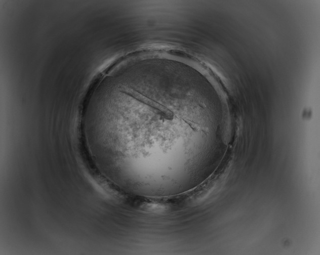 X0000102010352200807181233