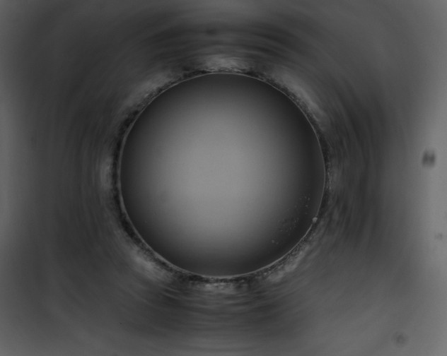 X0000102010353200807181233
